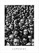 Children in Nigeria by Abbas. Size 18.22 inches width by 24.54 inches height. High Qu...
