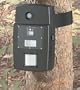Stealth Cam II