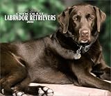 For the Love of Chocolate Labrador Retrievers Deluxe Wall Calendar: 2004