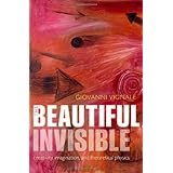 the beautiful invisible creativity imagination and theoretical physics
