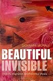 The Beautiful Invisible: Creativity, Imagination, and Theoretical Physics