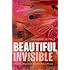 The Beautiful Invisible: Creativity, Imagination, and Theoretical Physics
