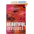 The Beautiful Invisible: Creativity, Imagination, and Theoretical Physics