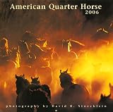 The 2006 American Quarter Horse Calendar