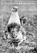 Die Gro�trappe. Otis tarda L