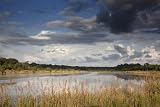 Beaufort, South Carolina scenic marsh - 16