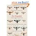 Die Fliegenfalle: �ber das Gl�ck der Versenkung in seltsame Passionen, die Seele des Sammlers, Fliegen und .... ... das Leben mit der Natur