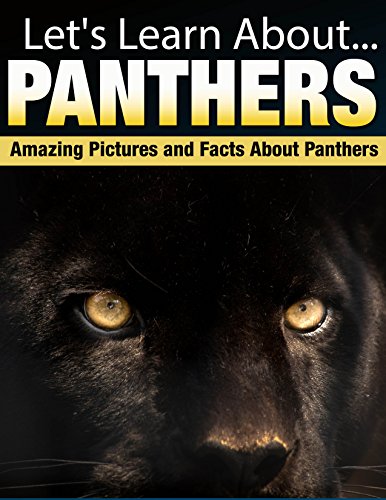 Panthers: Amazing Pictures and Facts About Panthers (Let's Learn About)