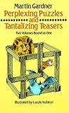 Perplexing Puzzles and Tantalizing Teasers (Math & Logic Puzzles)