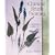 Chinese Brush Painting: A Beginner's Guide
