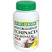 Nature's Bounty Natural Whole Herb Echinacea Goldenseal Plus, 100 Capsules (Pack of 2)