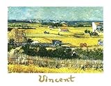 Vincent Van Gogh - The Reaping Poster Kunstdruck (70 x 50cm)