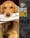 Service Dogs (Dog Heroes)