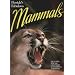 Florida's Fabulous Mammals
