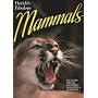 Florida's Fabulous Mammals