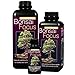 Bonsa&iuml; Focus 100 ml-York Bonsai Engrais liquide
