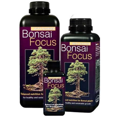 Bonsai Focus 100ml - Liquid Bonsai Feed