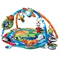 Baby Einstein Discover the World Play Gym