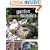 Garden Mosaics: 25 Step-by-step Projects for Your Outdoor Room