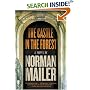 The Castle in the Forest: A Novel