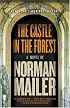 The Castle in the Forest: A Novel