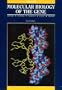 Molecular Biology of the Gene, Volume II (4th Edition)