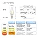 LIGHTSTORY B10 1.8W LED Filament Bulb - LED Candelabra 25W Equivalent, E12 Base, 2700K, Non-dimmable