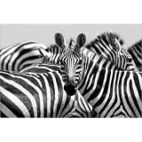 Poster 90 x 60 cm - "Black and White" von Alf Drosdziok - auch in anderen Gr��en und als Leinwandbild erh�ltlichvon "POSTERLOUNGE"
