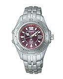 SEIKO (��������) �ӻ��� IGNITION �����˥å���� STHB003 �����ƥå������顼 �����С��������å� ��ǥ�����