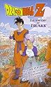 Dragon Ball Z - The History of Trunks