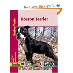 Boston Terrier, Praxisratgeber