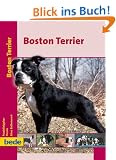 Boston Terrier, Praxisratgeber