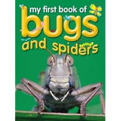 Bugs and Spiders (My First Book of...)