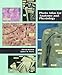 Photo Atlas for Anatomy and Physiology