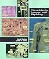 Photo Atlas for Anatomy and Physiology