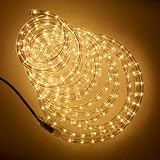 from Lights4fun - Rope Lights Rope Light, Clear, 9m Multi Action (8 settings) Model 9MR CLEAR