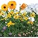 AeroGarden 800533-0208 Universal Seed Kit, Mountain Meadows Flowers