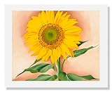 Georgia O'Keeffe, A Sunflower from Maggie