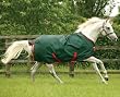 Rambo Original Turnout Light Weight (without Leg Arches), 63 [Misc.]
