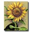 Country Sunflower Floral Picture Art Print #1