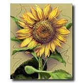 Country Sunflower Floral #1 Home Decor Wall Picture Art Print