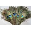 Peacock Feathers 30 Pcs (10"-12") with Kare & Kind� retail packaging