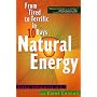 Natural Energy: From Tired to Terrific in 10 Days