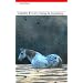 top poetry books