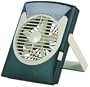 Wenzel LED Fan Light