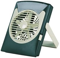 Wenzel LED Fan Light