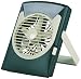 Wenzel LED Fan Light