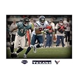 NFL Houston Texans Andre Johnson In Your Face Mural Wall Graphic