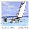  Ground Swell