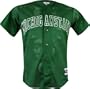 Michigan State Spartans College Baseball Replica Jersey